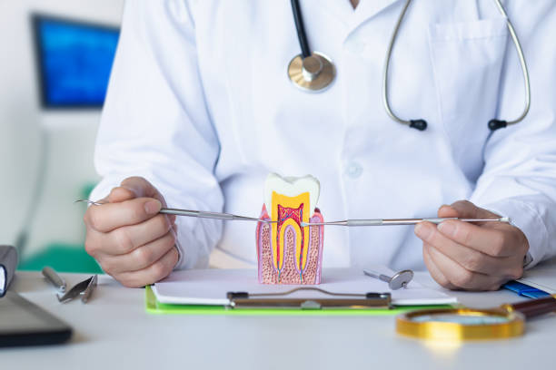 Best Emergency Root Canal Treatment in Irving, TX